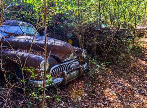 auto-wald guben